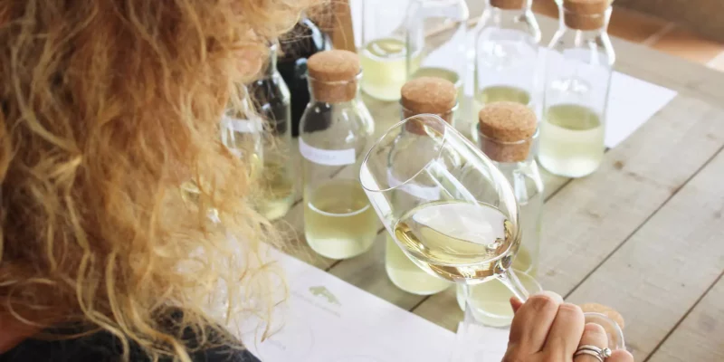 visitapazodealmui195177a1